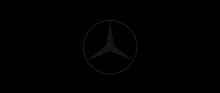 Car logo duplicate 5